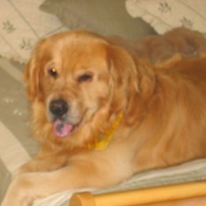 Meet your Posher, Judith